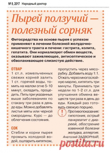 Пырей ползучий - полезный сорняк