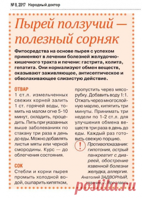 Пырей ползучий - полезный сорняк