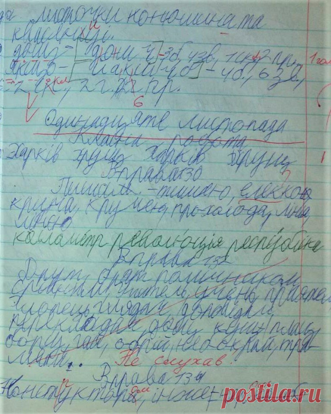 Коррекция почерка без прописей. Язык не имеет значения! | Учитель-дефектолог Татьяна Гогуадзе | Яндекс Дзен