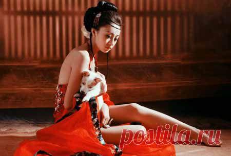 Мастер-класс «Семь секретов современной гейши» | Партнерские программы интернета