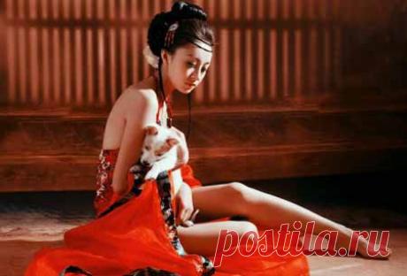 Мастер-класс «Семь секретов современной гейши» | Партнерские программы интернета