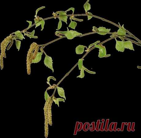 троица святая