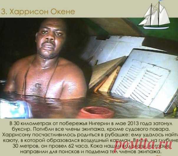 Самое Интересное Сообщество | СИС-БОТ