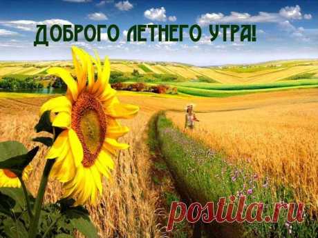 Архив открыток отправленных 30 Июня 2014 года. Добавили: Ninel Svetlaj, Серёга Огнёв, Далекая Нежность , Алёна , Галина Журавлёва, Svetlana , Svetlena , Елена Волжанка, Иуда Мельников