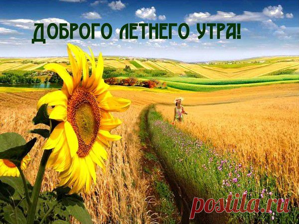 Архив открыток отправленных 30 Июня 2014 года. Добавили: Ninel Svetlaj, Серёга Огнёв, Далекая Нежность , Алёна , Галина Журавлёва, Svetlana , Svetlena , Елена Волжанка, Иуда Мельников