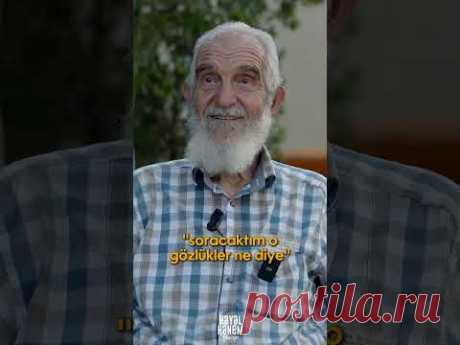 Kırlangıç Otunun Mucizevi Faydaları