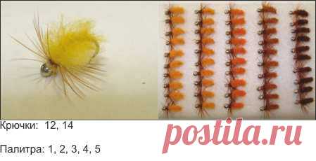 Мухи грузовые « Большая речка