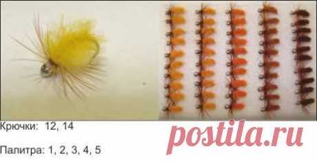 Мухи грузовые « Большая речка