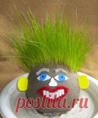 Травянчик своими руками | NosKurnos.ru