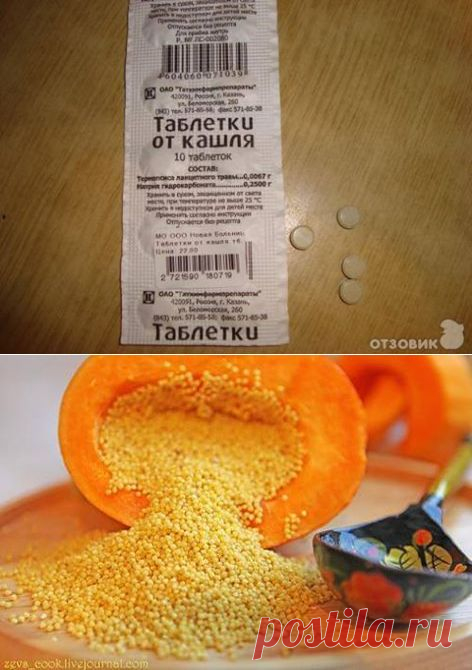(4) Здоровая жизнь