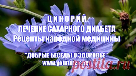 ЦИКОРИЙ. ЛЕЧЕНИЕ САХАРНОГО ДИАБЕТА -
Многие из вас уже знают, что корни цикория богаты фруктозой, являющейся полезным пищевым продуктом для диабетиков. Клинические исследования показали, что препараты инулина, сделанные из корней, дают ярко выраженный гипогликемический эффект у больных инсулиннезависимым сахарным диабетом и, кроме того, понижают суточные колебания уровня глюкозы в крови. Благодаря этому инулин цикория можно применять в качестве средства для лечения пациентов с диабетом II типа.