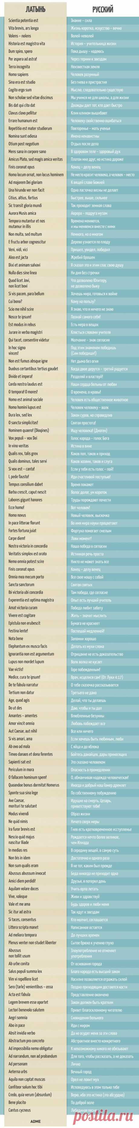 (3) Pinterest