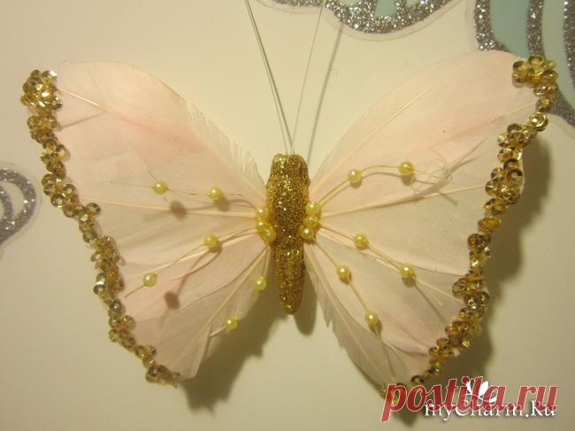 Бабочки - магниты, как живые.: Группа Между нами, девочками