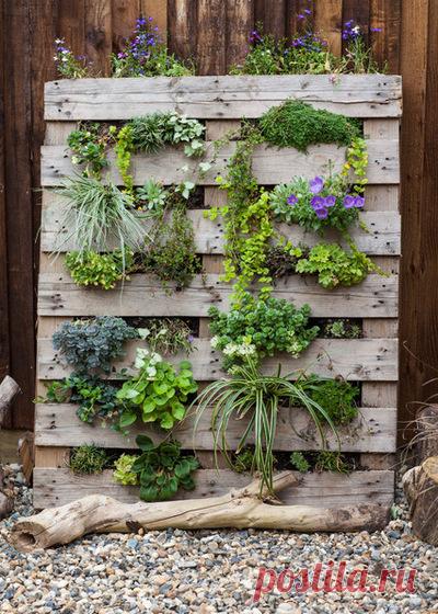 Стеллаж для рассады своими руками: как сделать полки для выращивания рассады на подоконнике или балконе