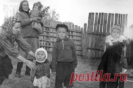 Брянский заповедник показал старые фотографии из уже заброшенных деревень. Федеральный заповедник «Брянский лес» показал старые черно-белые фотографии, найденные в ранее заброшенных окрестных деревнях. В окрестностях заповедника было несколько деревень — Смелиж, Непорень, Старое Ямное, Красная Слобода, Чухраи, Денисовка, Герасимовка. Из каждой дошли несколько старых фотографий.