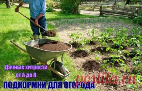(1) Одноклассники