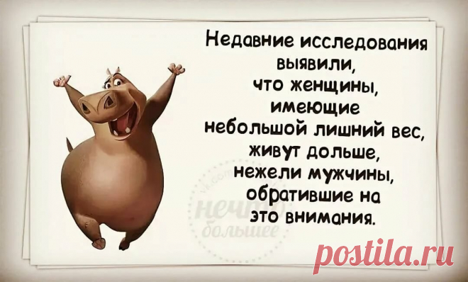 Не успели похудеть к лету? Улыбнитесь! Подборка смешных мемов про диеты и похудение | Мария Ефремова (Марийка Батлер) | Яндекс Дзен