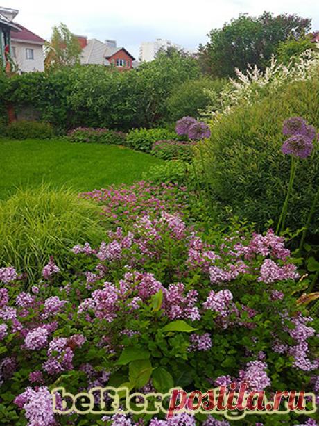 Наши работы - фото до и после. Портфолио дизайнера. — БельфлерДизайн