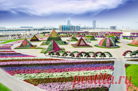 Фантастический цветочный парк Дубая Dubai Miracle Garden