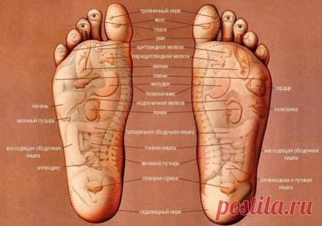 Этот простой самомассаж запускает механизмы самоисцеления!