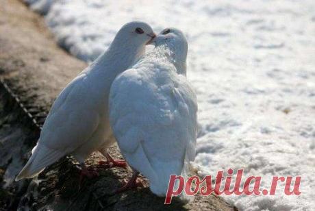 Фотографии на стене сообщества | 8 672 фотографии | ВКонтакте