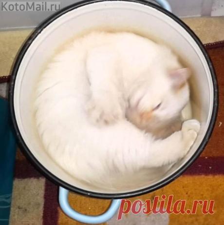 Как хорошо , что после 18.00 хозяйка не заходит на кухню!