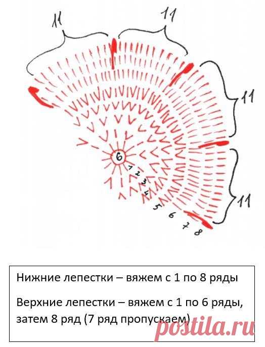 3.jpg (524×687)
