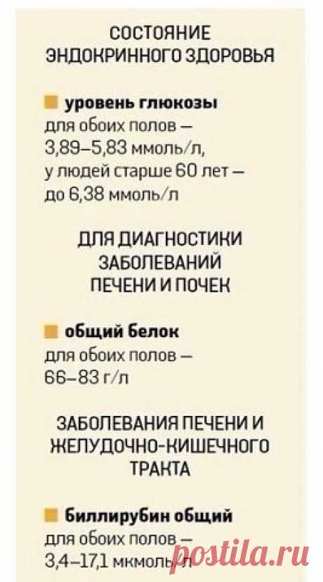 На заметку
О чем расскажет анализ крови

 Женские секреты, советы и рецепты | Только лучшее  подпишись и ты!