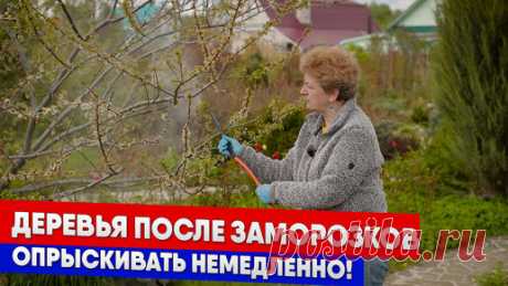 Статьи, новости и видео от популярных блогеров и СМИ | Будь в теме — будь в Дзене