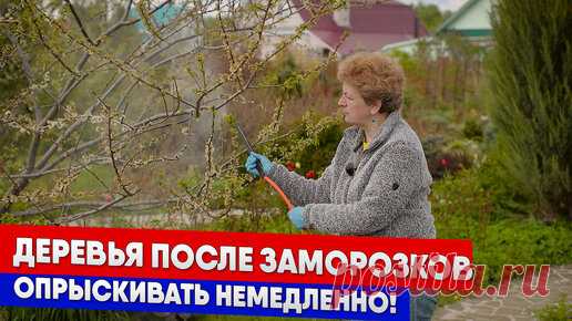 Статьи, новости и видео от популярных блогеров и СМИ | Будь в теме — будь в Дзене