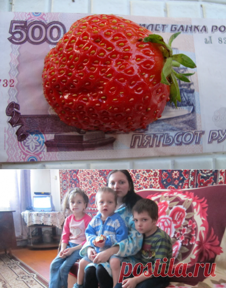 "Кладовая природы"
