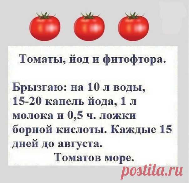 Дачникам на заметку!