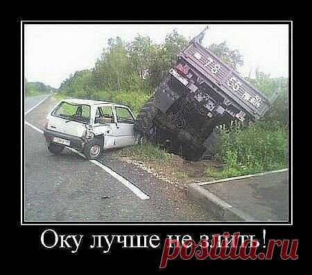 Подборка смешных фото и рисунков | Музыка ветра | Яндекс Дзен