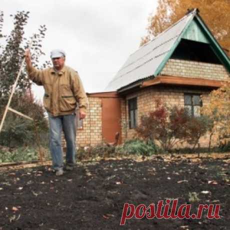 Дачный ажиотаж. Надо ли спешить с межеванием? - МирТесен