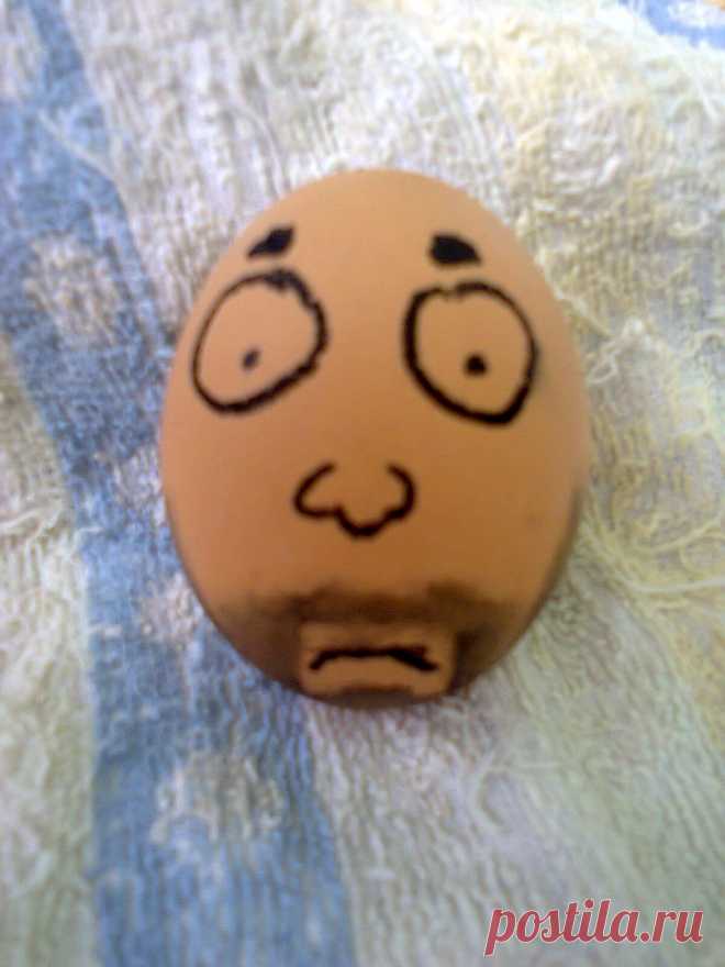 egg