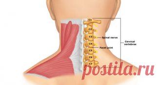 Гимнастика Бутримова: нормализует кровообращение и восстановит правильное положение позвонков шеи  Упражнения для тех, кто много времени проводит за компьютером. Их можно выполнять прямо на рабочем месте — вместе перерыва на перекур. Здоровье сбережёте на все 200%.


Остеохондроз шейного отдела по…
