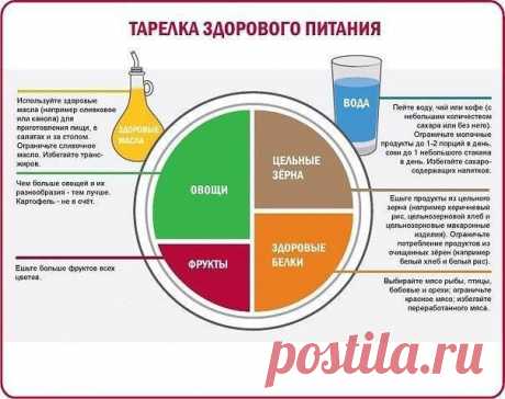 Тарелка здорового питания