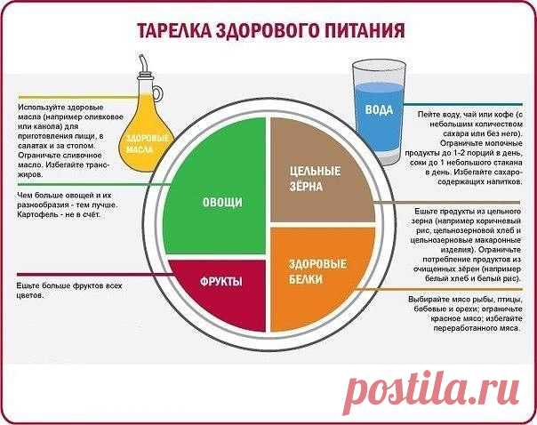 Тарелка здорового питания