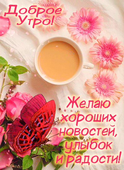Доброго утра, яркого солнышка, заряда бодрости и, конечно, самого прекрасного настроения, которое согревает душу!