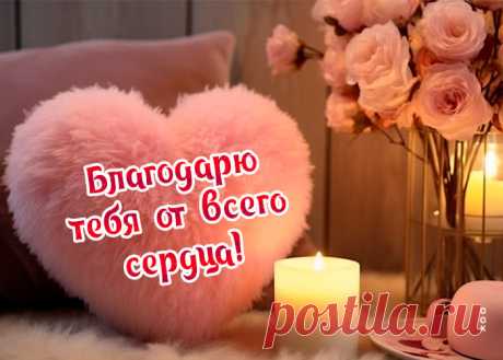 Благодарность вы примите,
Все слова — лишь от души.
Пусть все будни с выходными
У вас будут хороши.