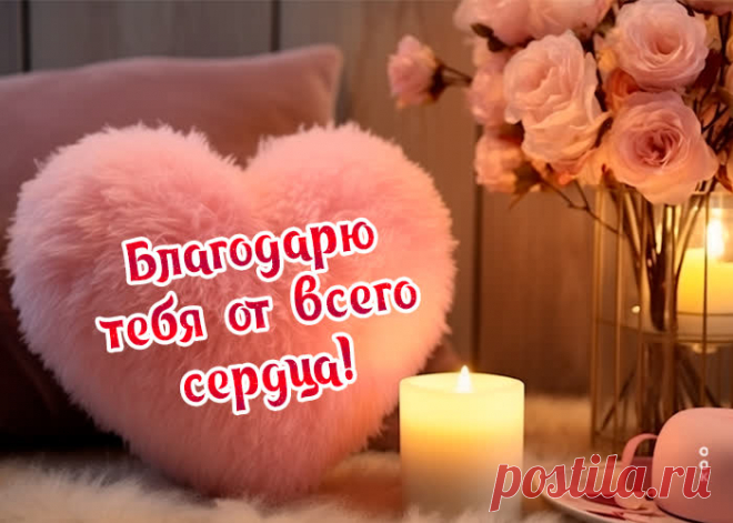 Благодарность вы примите,
Все слова — лишь от души.
Пусть все будни с выходными
У вас будут хороши.