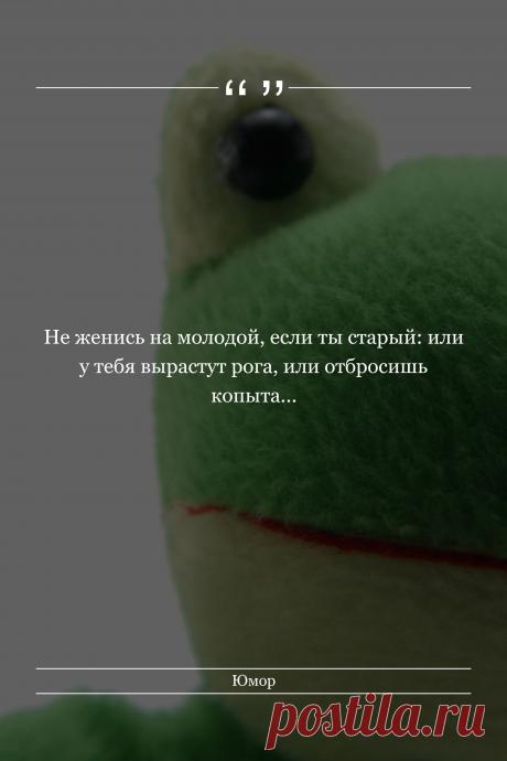 Цитата про «Юмор» — Не женись на молодой, если ты старый: или у тебя…