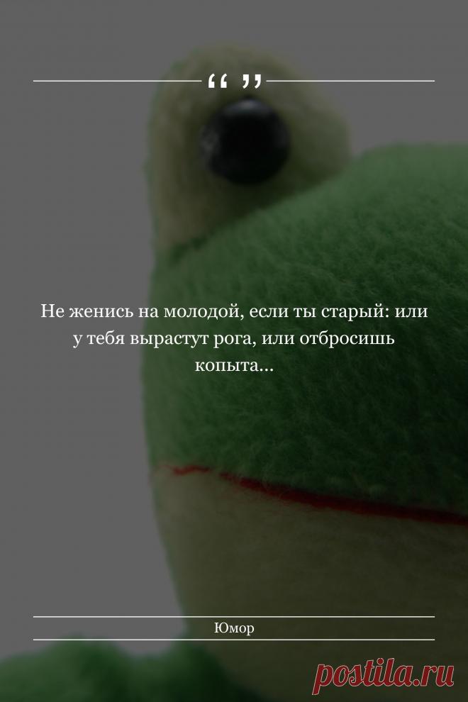 Цитата про «Юмор» — Не женись на молодой, если ты старый: или у тебя…