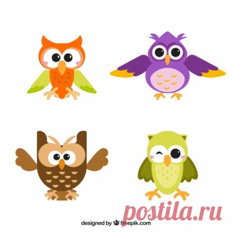 Сова в разных цветах Более миллиона свободных векторов, PSD, фотографии и бесплатные иконки. Эксклюзивные халявы и все графические ресурсы, которые необходимые для ваших проектов
