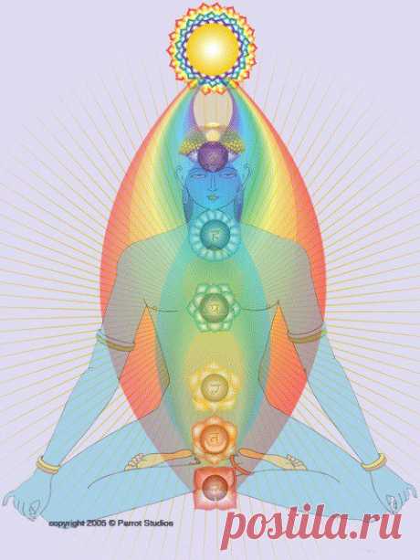 Интересно о Лимфатической системе..