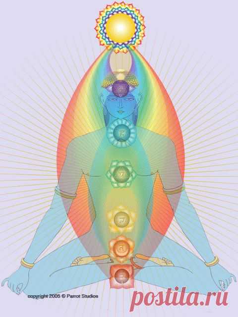 Интересно о Лимфатической системе..