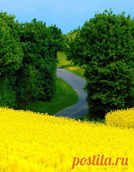 ФОТО ПРОГУЛКА -- Как прекрасен этот мир...