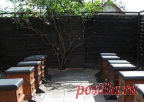 Одноклассники