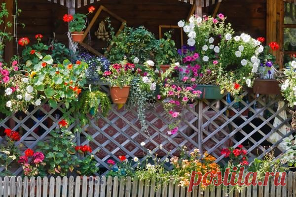 Как украсить забор на даче