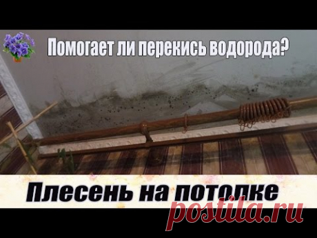 Плесень в квартире на потолке. Как бороться? Перекись водорода не помогает! ПРОВЕРЕН0!